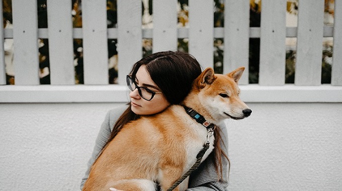 柴犬を飼うときに準備しておきたいこと９選